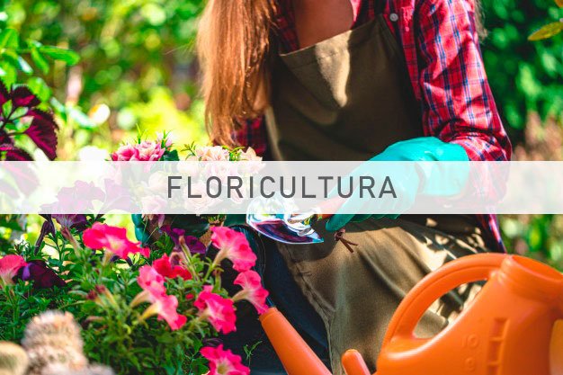 Impact for the floriculture sector 