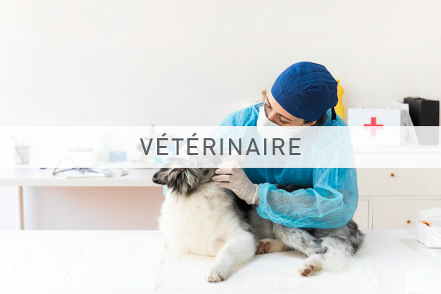 Image pour vétérinaire