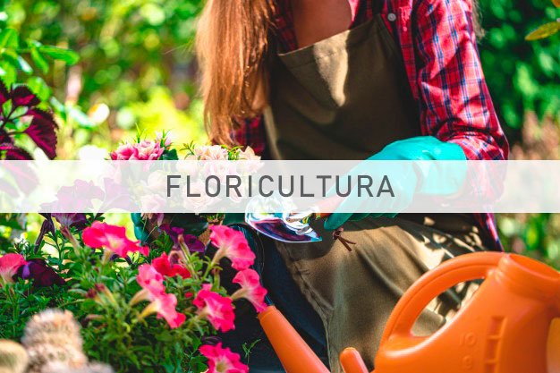 Impagen para Sector floricultura 