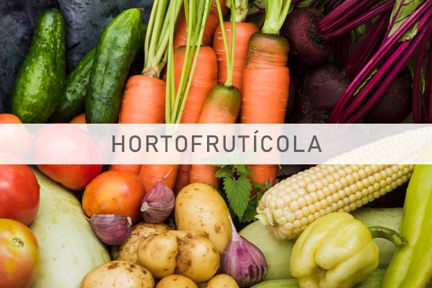 Imagen para sector hortofrutícola 