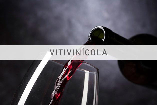 Imagen para Sector del vino 